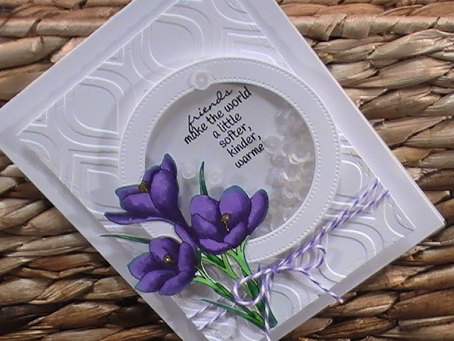 Kennedy Grace Review 005