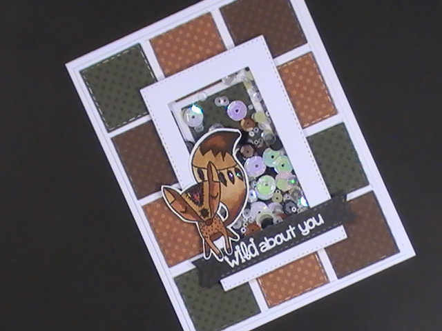 SFL Design Team Project 001