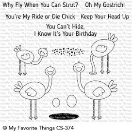 mft_cs374_ohmygostrich_2