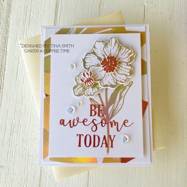 Spellbinders GOM JUN 2019-2