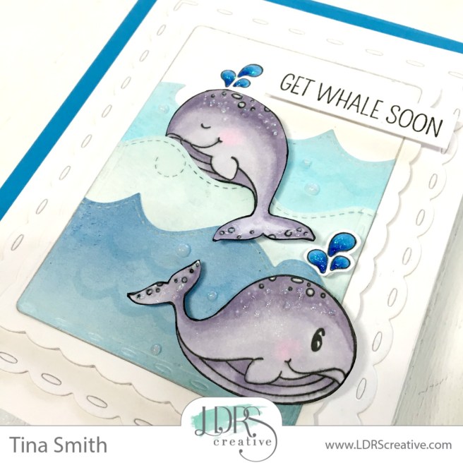 LDRS - WHALE WISHES-3