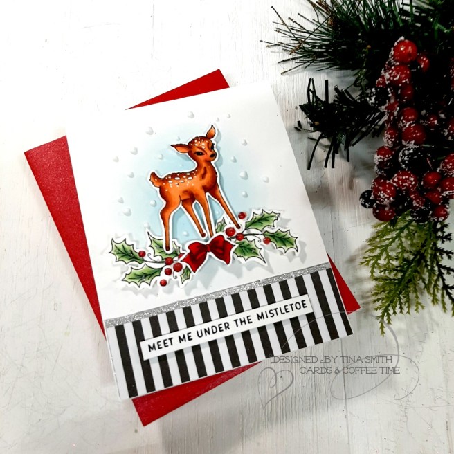 SOM-NOV19-Tina Smith-1