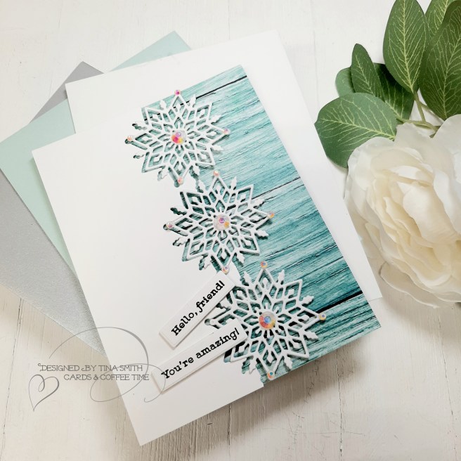 SSS Jan 2020 Card Kit-3