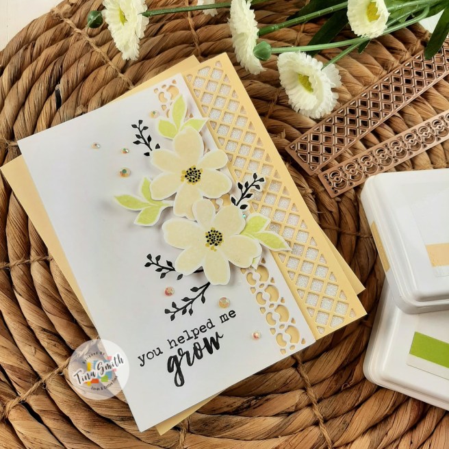 Spellbinders_DOM MAY20_Tina Smith_1 (1)