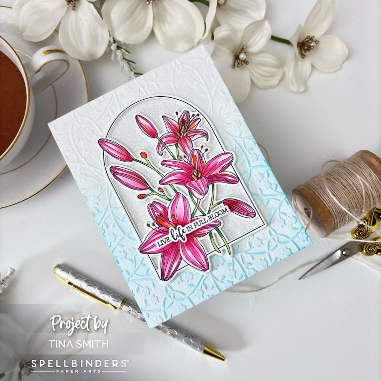 Spellbinders – Clear Stamp & Embossing Folder Club Kits February 2024 ...