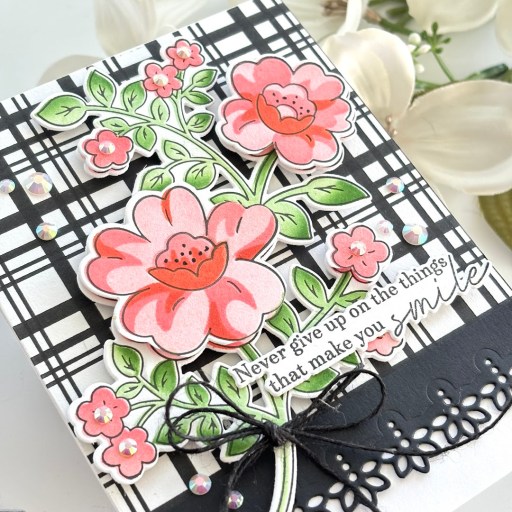 Never Give Up Press Plate from Pinkfresh Studio! 